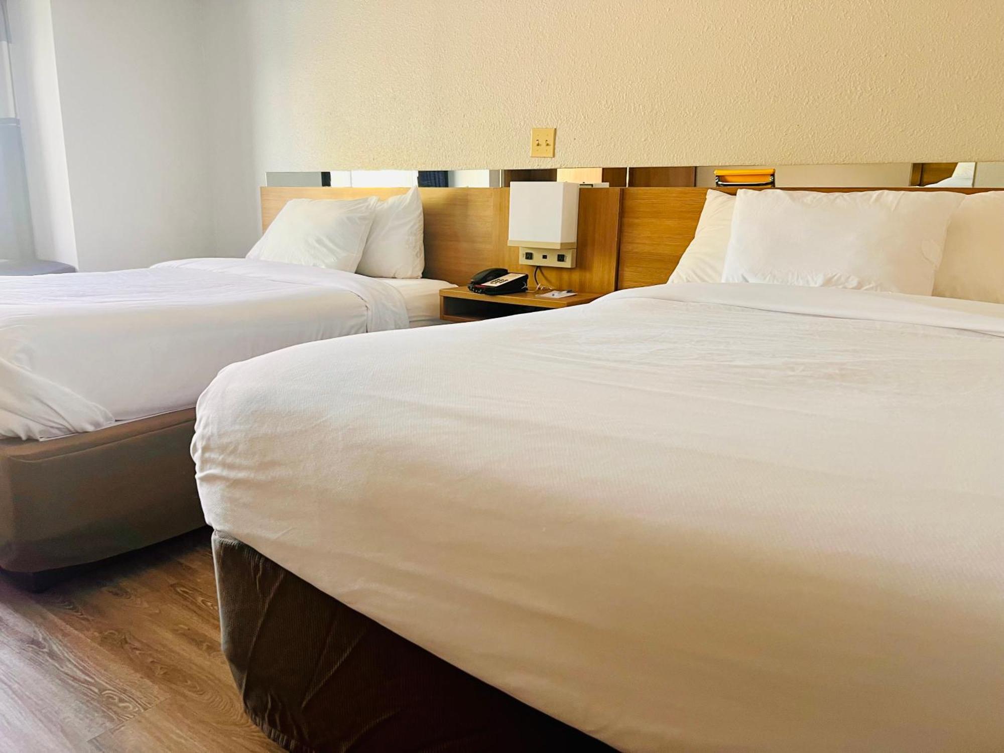 Microtel Inn By Wyndham Lexington Eksteriør billede