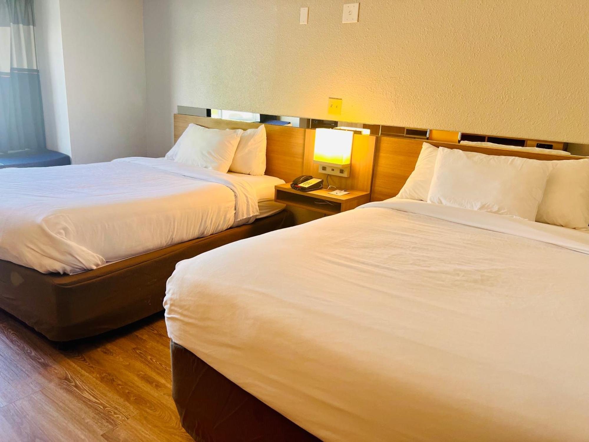Microtel Inn By Wyndham Lexington Eksteriør billede
